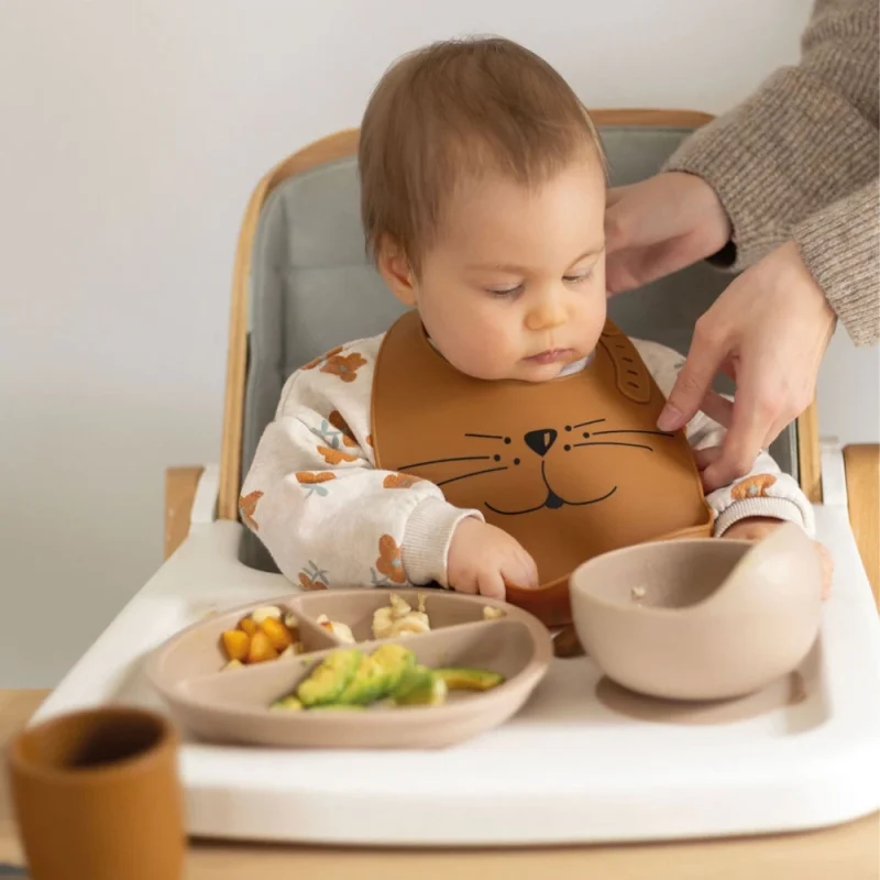 Coffret repas 2 pièces silicone bol à ventouse et cuillère