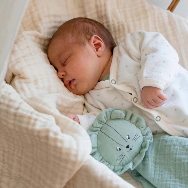 Trousseau de naissance - Vert sauge